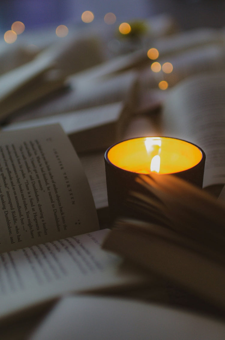 Best Sellers - Verbivore Candles