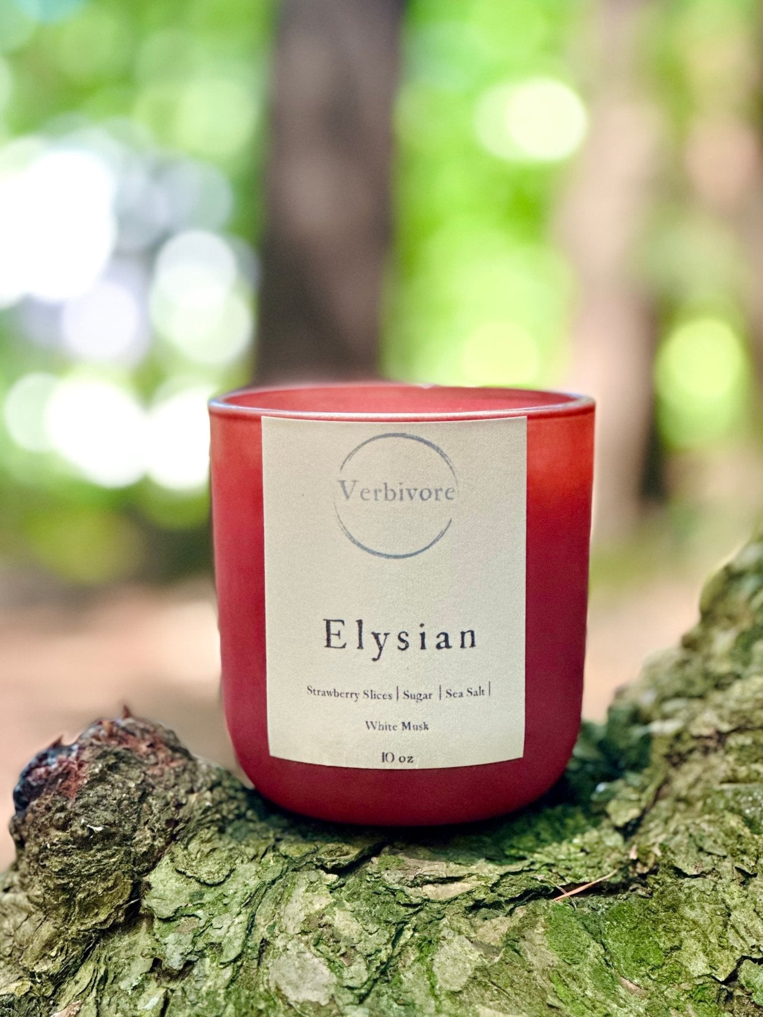 Elysian | Olive & Coconut Wax Blend Candle - Temple13